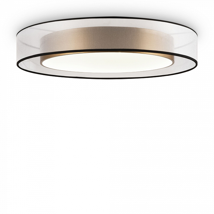 Светильник Freya FR6005CL-L48G